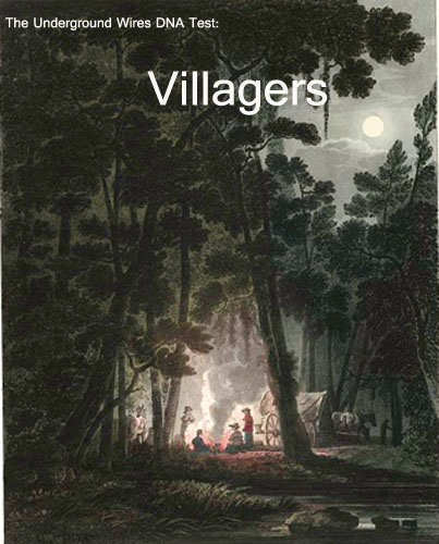villagersdna